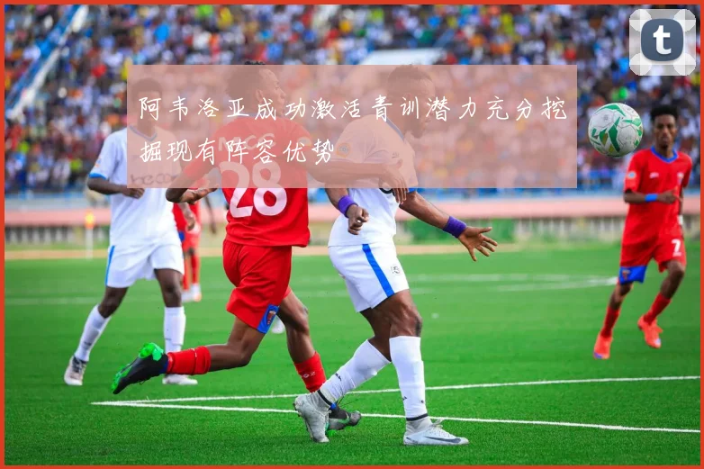 阿韦洛亚成功激活青训潜力充分挖掘现有阵容优势